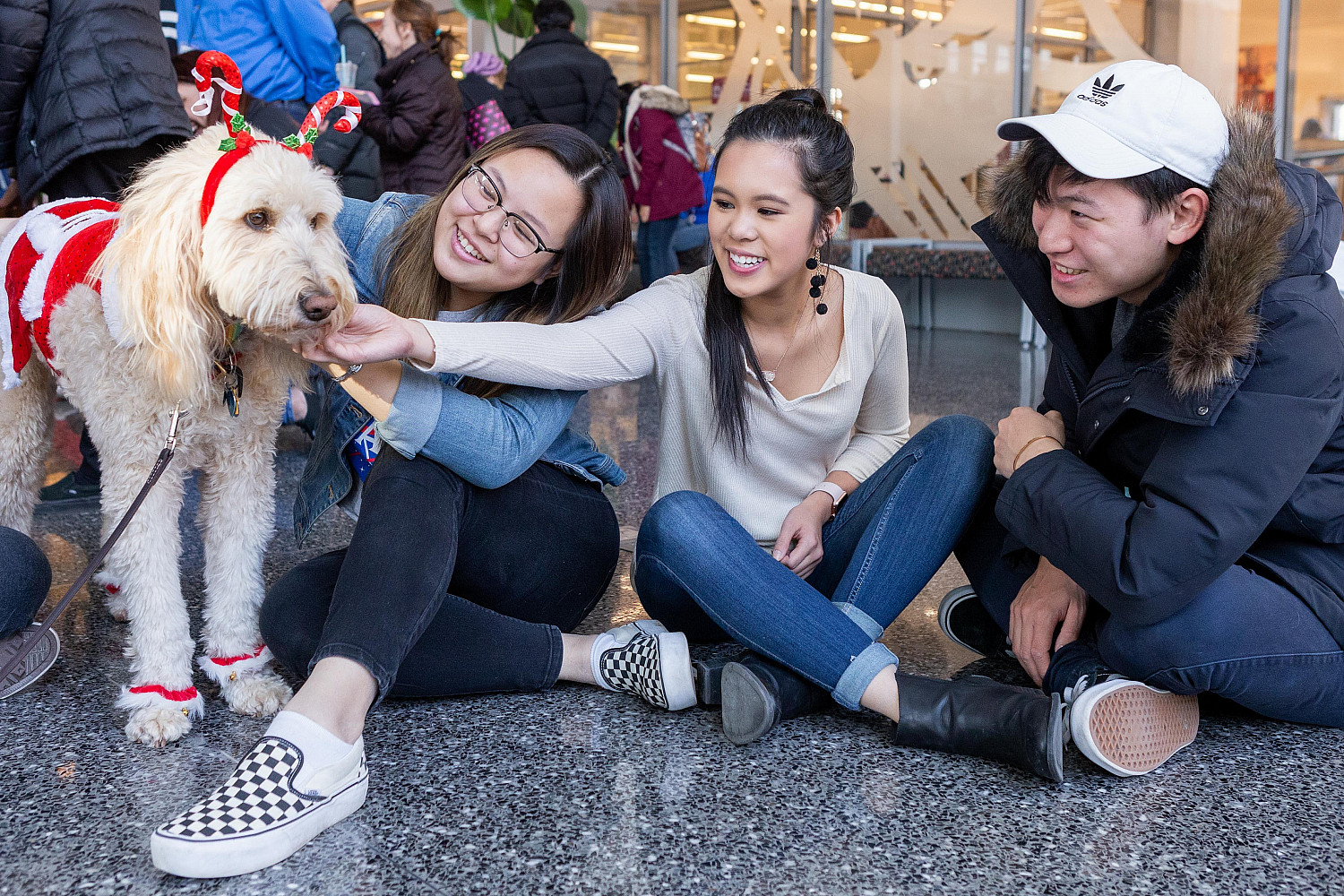 Therapy dogs from a local organization, Love on a Leash, help students de-stress during the Paws and Relax event at the IU Indianapolis C...