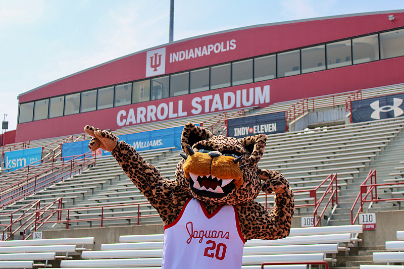 Jawz, the IU Indianapolis mascot, sports a new uniform inside Carroll Stadium, which received an updated IU Indy look as well. 